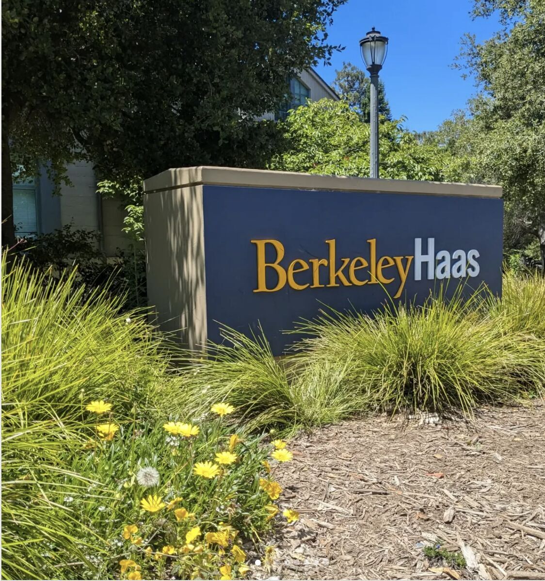 Berkeley Haas AI Entrepreneurship